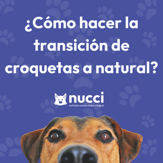 ¿Como hacer una transición a una alimentación 100% Natural?