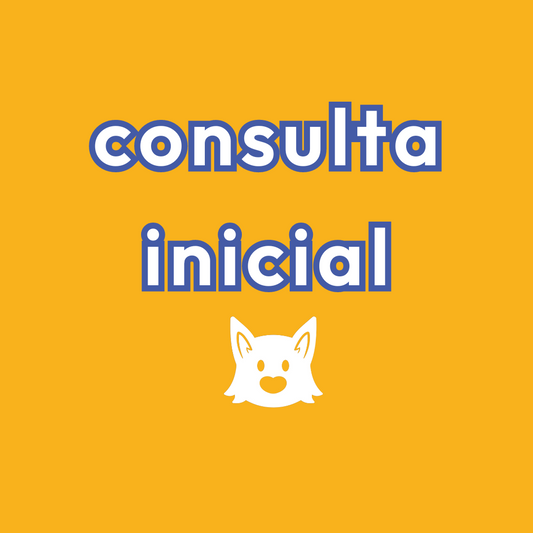 Consulta Inicial